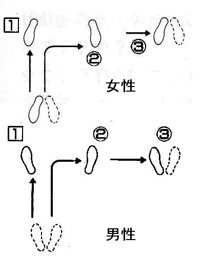 ワルツ ボックス Waltz Box Fd用語 カズのfddb